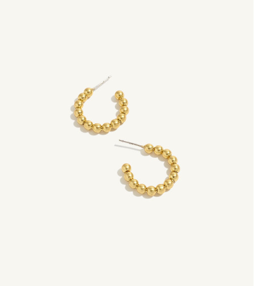 Solid Gold Medium Hoop Earrings